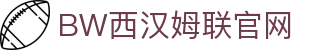 BWTWAY·必威(西汉姆联)官方网站